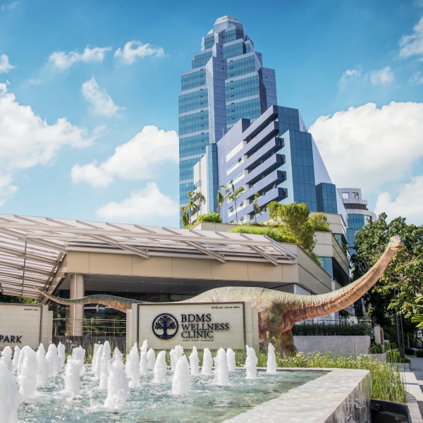 BDMS Wellness Clinic, Bangkok